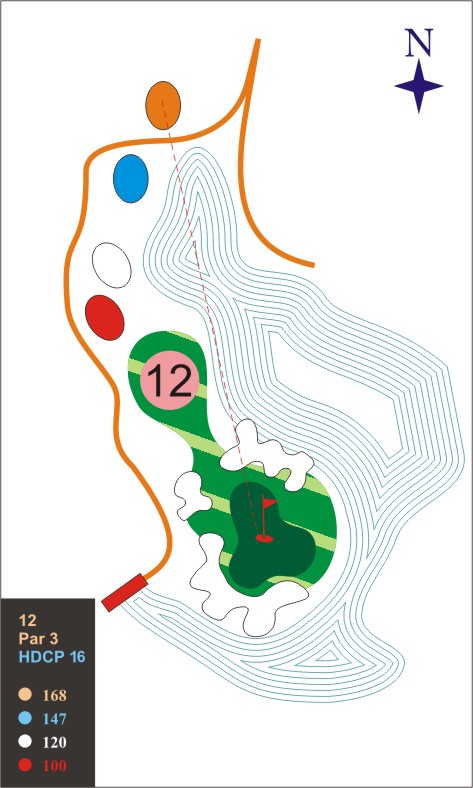 Hole 12